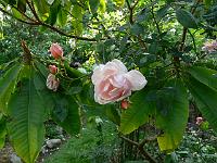 05-07-2006_21-59-20_38