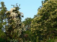 06-07-2006_06-32-01_04