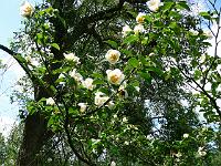 10-07-2006_11-49-56_33