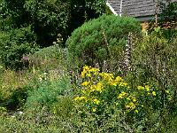 18-07-2007_11-53-25_32