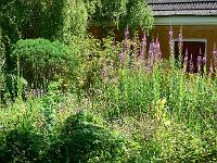 18-07-2007_11-55-11_59