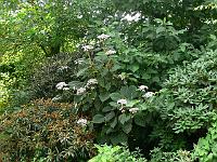 31-07-2006_10-25-00_43