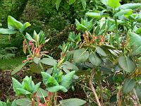 02-06-2006_17-46-44_44