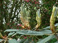 09-06-2006_10-53-11_73