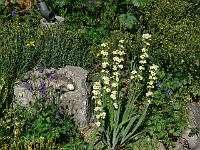 09-06-2007_18-48-40_14