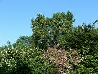 11-06-2007_18-35-44_34