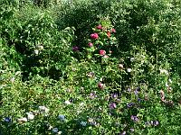 11-06-2007_18-38-56_86