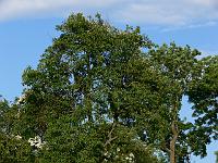 12-06-2007_19-34-26_72