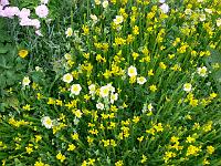 14-06-2006_15-02-33_14