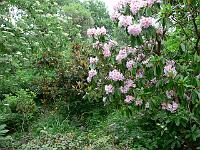 16-06-2006_18-20-08_31