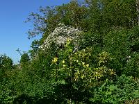 2010-06-04_09-52-40_0032