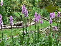 29-06-2006_13-06-34_97