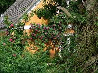 30-06-2006_09-28-54_26