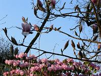 01-05-2006_07-46-38_165