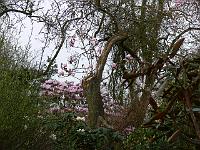 03-05-2006_06-20-42_106