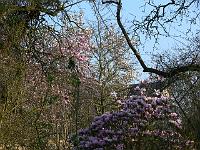 04-05-2006_08-05-17_205