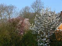 04-05-2006_08-05-29_208