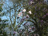 04-05-2006_17-32-31_17