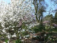 04-05-2006_17-33-33_33