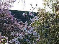 04-05-2006_18-26-22_73