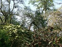 04-05-2008_08-49-01_146