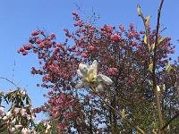 05-05-2006_21-17-50_13c