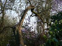 05-05-2006_21-21-51_74