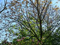 05-05-2007_18-35-12_31