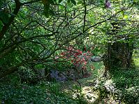 05-05-2007_18-40-31_122