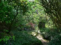 05-05-2007_18-40-38_124