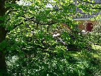 06-05-2008_22-13-11_43