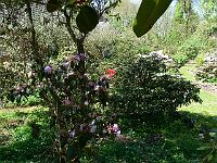 06-05-2008_22-13-11_88