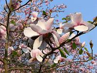 07-05-2006_09-24-46_44