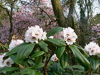 07-05-2006_09-28-56_113