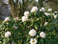 07-05-2006_19-11-39_99