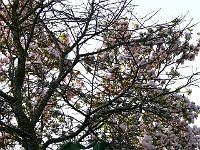 07-05-2006_19-19-27_231