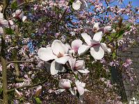 08-05-2006_09-34-36_133