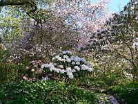 08-05-2006_09-36-44_168