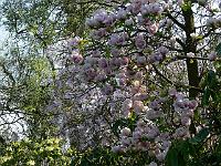 08-05-2006_17-54-57_149