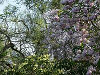 08-05-2006_17-55-09_152