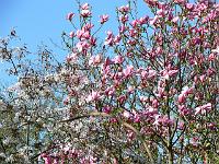 09-05-2006_09-11-17_10