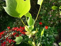 10-05-2006_09-03-37_26