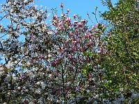 11-05-2006_09-58-00_40c