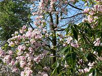 11-05-2006_10-08-26_162