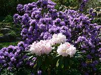 11-05-2006_11-34-23_26