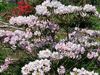 12-05-2006_12-58-52_178