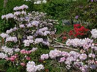 12-05-2006_12-59-14_184