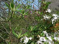 12-05-2006_13-04-58_264