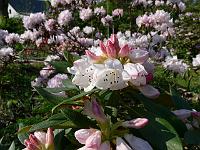 12-05-2006_18-08-05_51