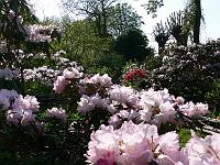 12-05-2006_18-15-42_169